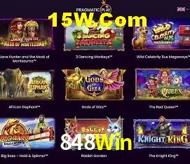 Programa VIP 848Win
